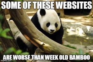 google panda