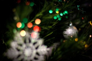 20141201_dijitul-xmastree_7351-resize