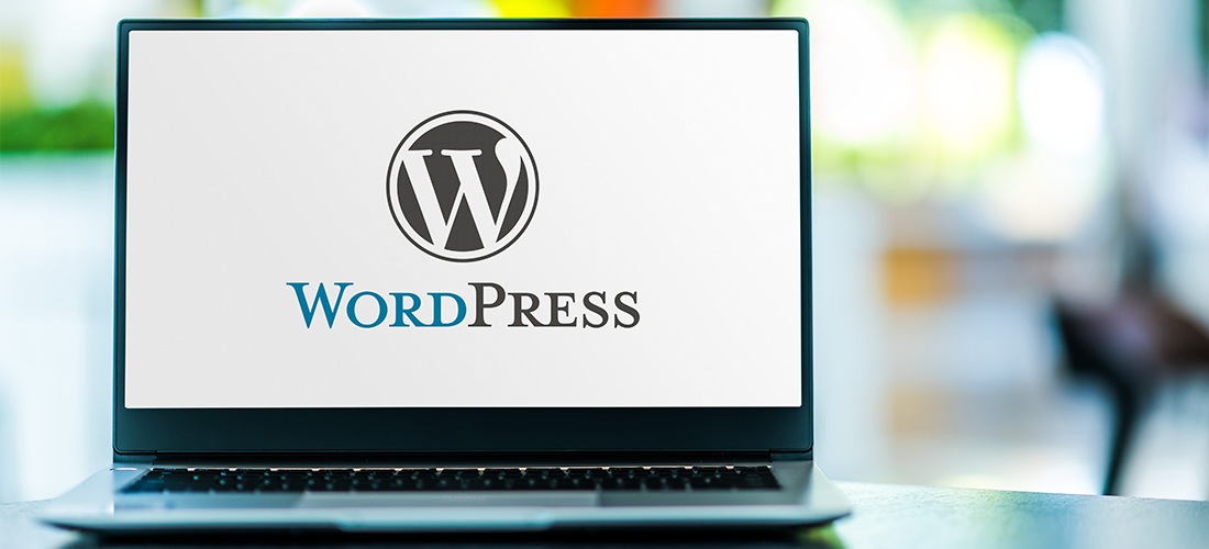 Beginner’s Guide to Using WordPress with WooCommerce