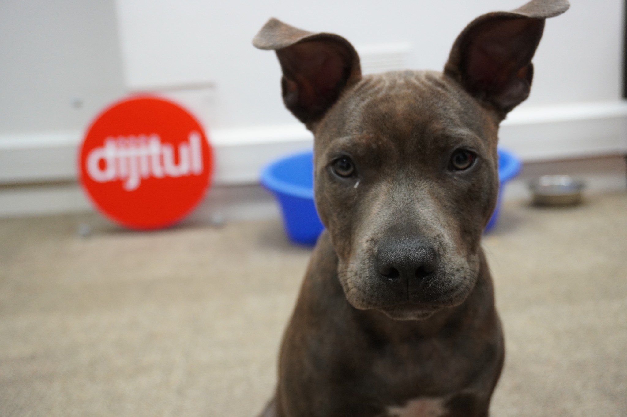 Crazy Idea 325 – A Tax On Email?