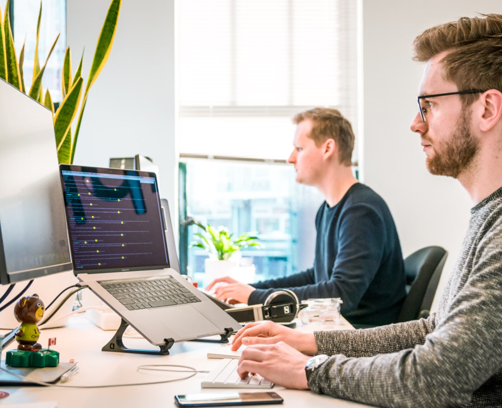 Bespoke web software